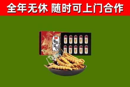 澄江市烟酒回收冬虫夏草礼盒.jpg
